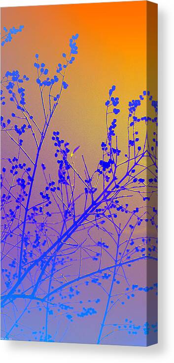 Tree Canvas Print featuring the photograph Tree Art by Gray Artus