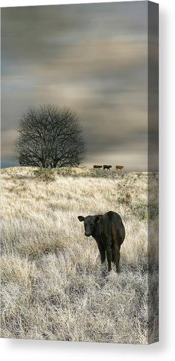 Animal Canvas Print featuring the photograph 4444 by Peter Holme III