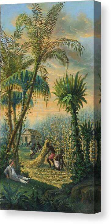 Anonymous Canvas Print featuring the painting Cutting Sugarcane In The Antilles by Anonymous