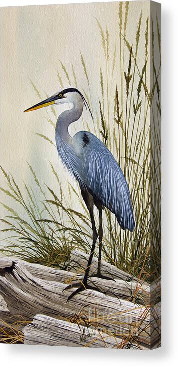 Great Blue Heron. Great Blue Heron Painting Canvas Print featuring the painting Great Blue Heron Shore by James Williamson