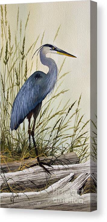 Great Blue Heron Canvas Print featuring the painting Great Blue Heron Splendor by James Williamson