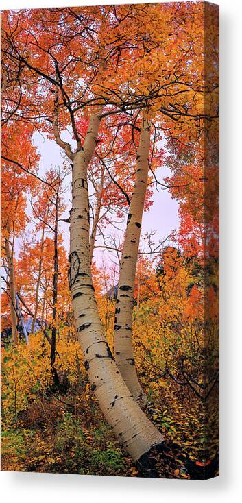 Moments Of Fall Canvas Print featuring the photograph Moments of Fall by Chad Dutson