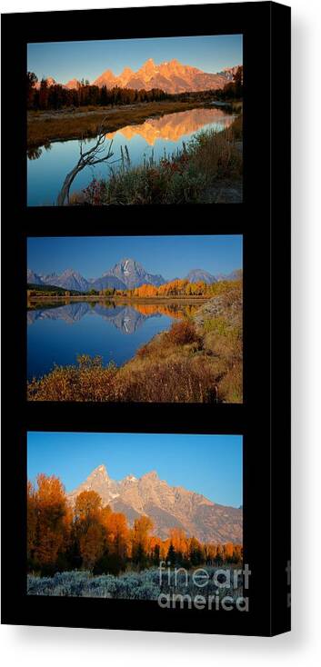 Tetons Canvas Print featuring the photograph Tetons Park Trio by Idaho Scenic Images Linda Lantzy