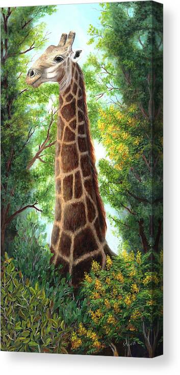 Animal Canvas Print featuring the painting Tree Top Browser by June Hunt