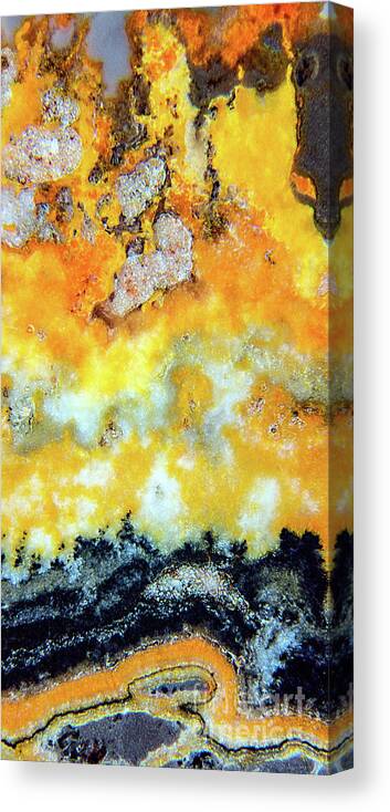 Fine Art Photography Canvas Print featuring the photograph Bumblebee Jasper by John Strong