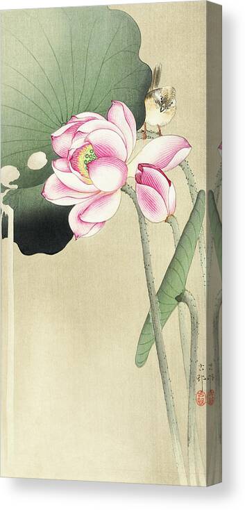 Bird Canvas Print featuring the painting Songbird and Lotus #3 by Ohara Koson