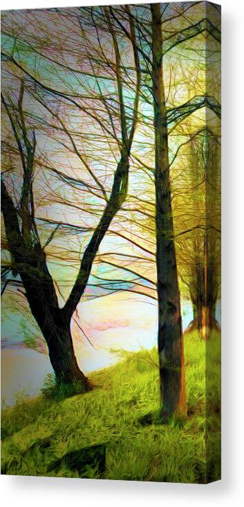 Carolina Canvas Print featuring the photograph The Beautiful Forest Trail in Abstract in Left Vertical Triptych by Debra and Dave Vanderlaan