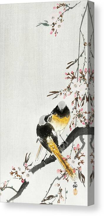 Birds Canvas Print featuring the painting Two sable red tails with cherry blossom by Ohara Koson