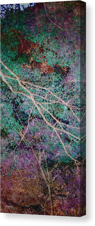 Forest Canvas Print featuring the photograph A Forest of Magic #1 by Eena Bo