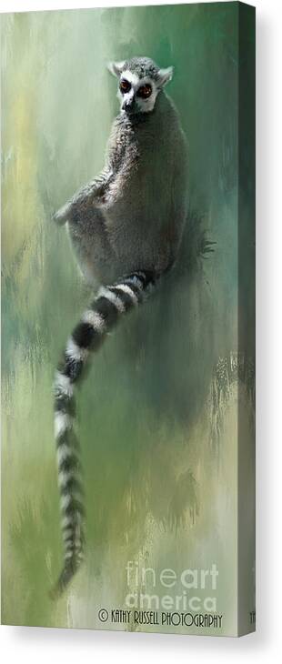 Lemur Canvas Print featuring the photograph Lemur Catching Rays by Kathy Russell