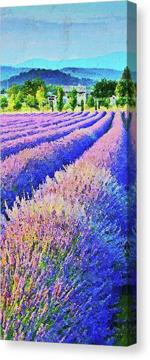 Lavender Canvas Print featuring the painting Lavender fields - 08 by AM FineArtPrints