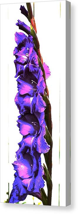 Flower Canvas Print featuring the photograph Glad I'm Purple by KD Granger