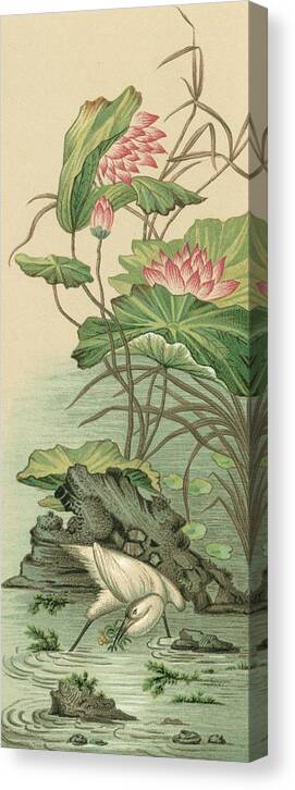 Botanical & Floral Canvas Print featuring the painting Crane And Lotus Panel II #1 by Racinet