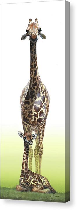Giraffes Canvas Print featuring the painting Mothers Watch is keeping by Harold Shull