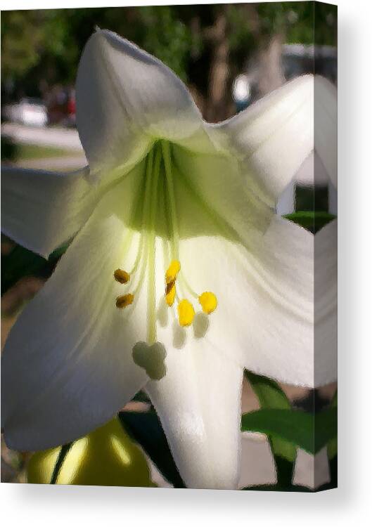 Blooming Easter Lily Caught In The Shadows With The Brush Stroke Effect Canvas Print featuring the photograph Easter Peace by Belinda Lee