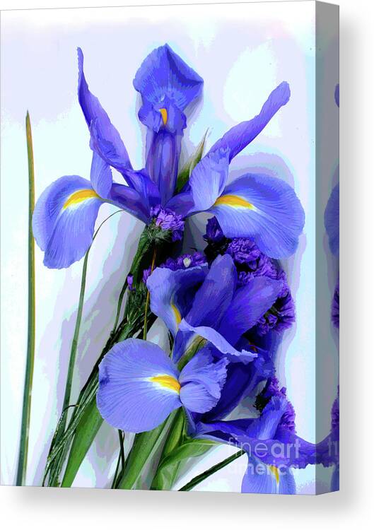 Larry Canvas Print featuring the photograph Iris -- Pretty In Purple-1 by Larry Oskin