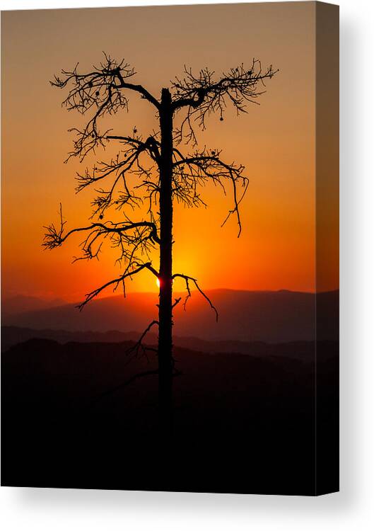 Landscape Canvas Print featuring the photograph Serenity #1 by Davorin Mance