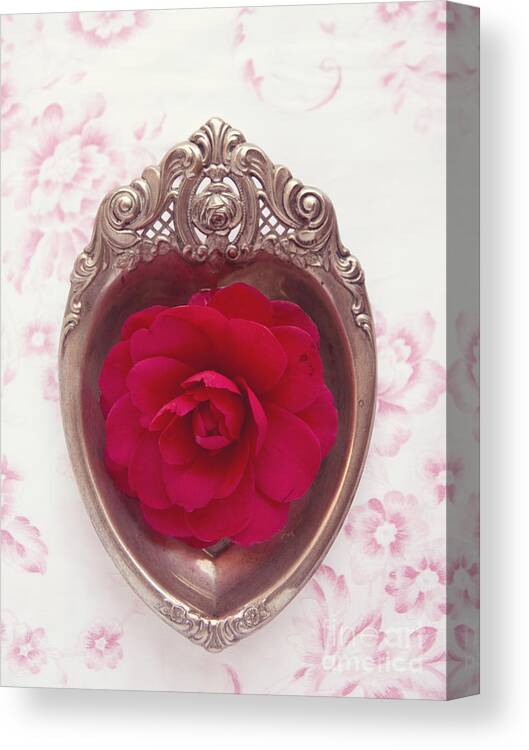 Red Canvas Print featuring the photograph Silver heart - Red camellia by Cindy Garber Iverson