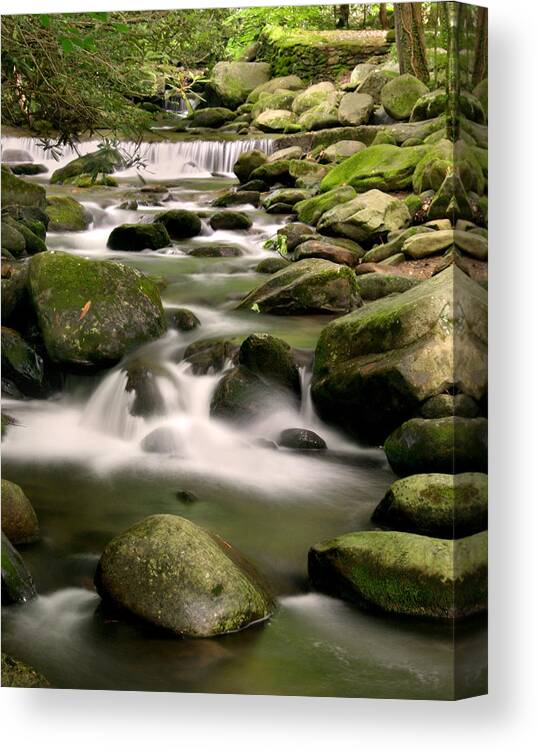 Smoky Mountain Canvas Print featuring the photograph Smoky Mountain Stream #1 by Cindy Haggerty