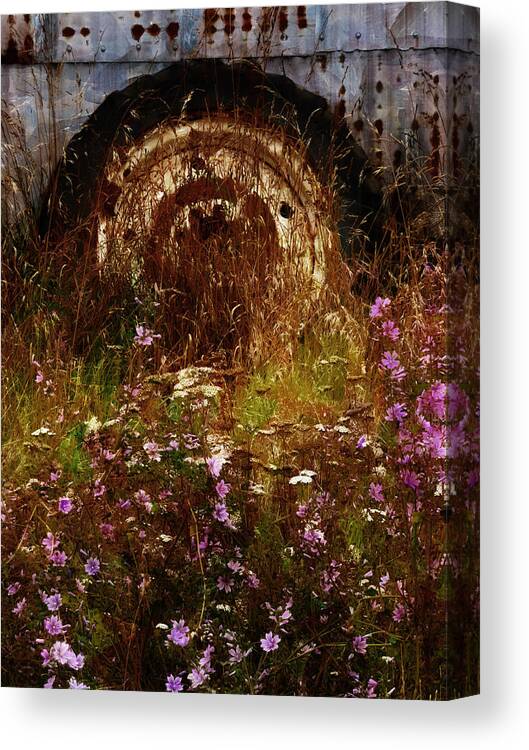 Building; Canterbury; Christchurch; Corrugated; Farm; Flora; Flower; Grass; Iron; New Zealand; Nz; Plant; South Island; Weeds; Rust Canvas Print featuring the photograph The Spare Wheel #1 by Steve Taylor