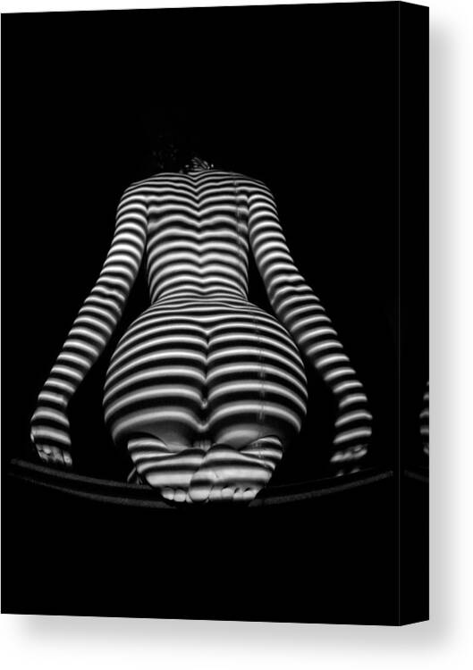 Stripes Canvas Print featuring the photograph 1249 Zebra Woman Stripe Series 1249 by Chris Maher