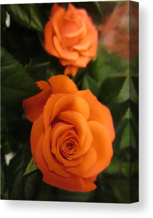 Flowerromance Canvas Print featuring the photograph Orange delight #2 by Rosita Larsson