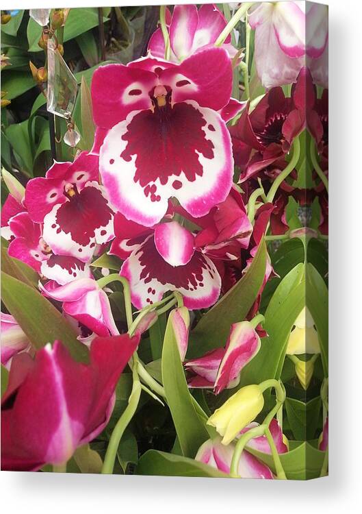 Orchid Canvas Print featuring the photograph Orchids #2 by Jane Girardot