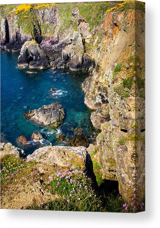 Armeria Maritima Canvas Print featuring the photograph St Non's Bay Pembrokeshire by Mark Llewellyn