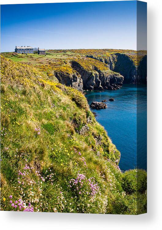 Armeria Maritima Canvas Print featuring the photograph St Non's Bay Pembrokeshire #8 by Mark Llewellyn