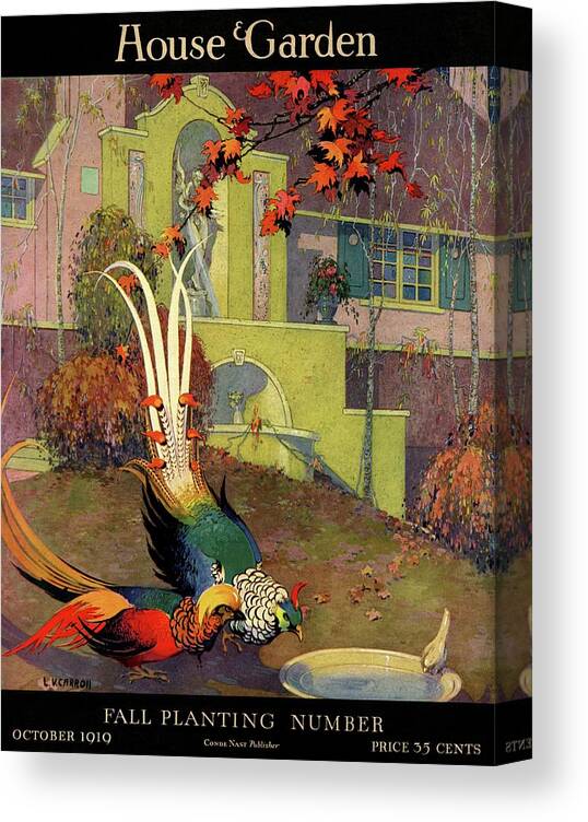 Illustration Canvas Print featuring the photograph A House And Garden Cover Of Peacocks by L. V. Carroll