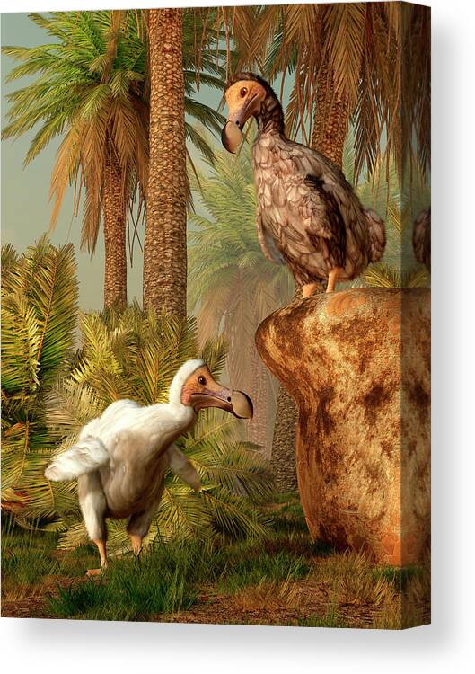 Prehistoric Era Canvas Print featuring the digital art A Pair Of Dodo Birds Play A Game Of by Daniel Eskridge/stocktrek Images