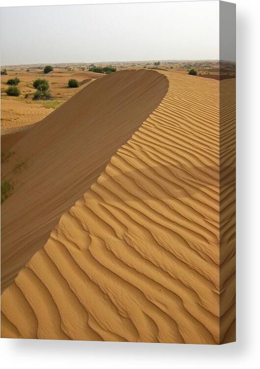 #abudhabi #desert #uae #dubai #middleeast #streetart #zazzle #photog #togs #fineart #deals Canvas Print featuring the photograph Abu-Dhabi 5 by Steve Lipson
