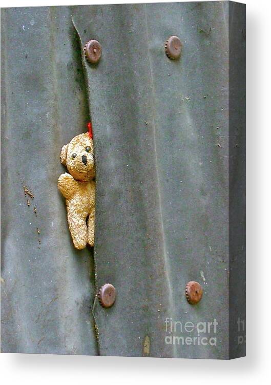 Teddy Bear Canvas Print featuring the photograph All Alone Am I by Patsy Walton