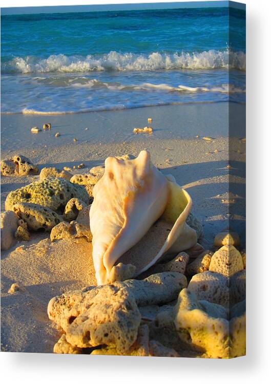 Beach Canvas Print featuring the photograph Alone by Capt Pat Moran
