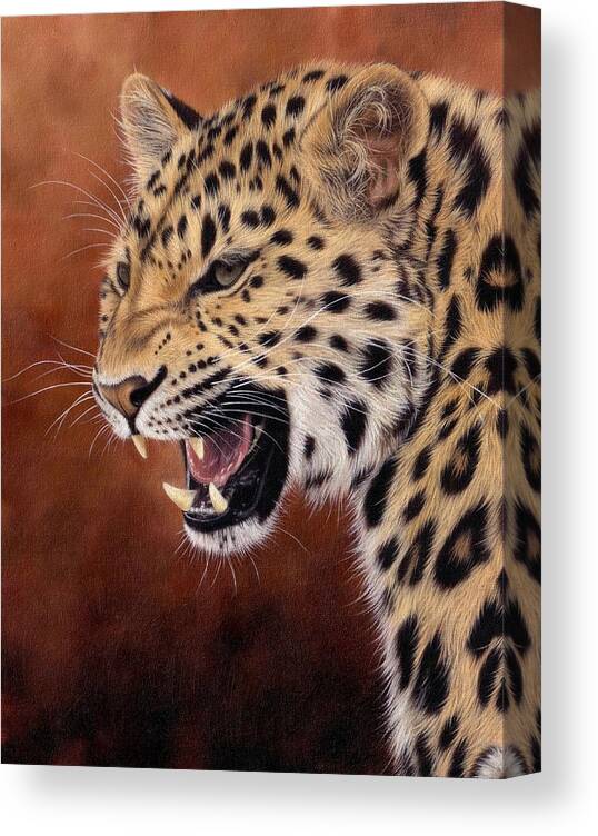 Leopard Canvas Print featuring the painting Amur Leopard Painting by Rachel Stribbling