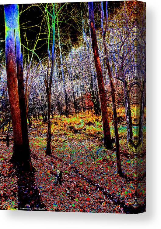 Country Canvas Print featuring the photograph An Evening Forest by Kimmary MacLean