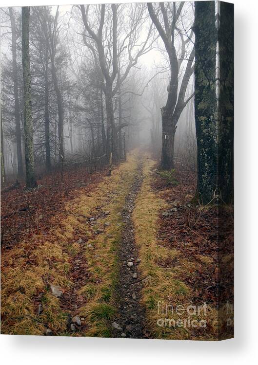 At Canvas Print featuring the photograph Appalachian Trail Fog by Glenn Gordon