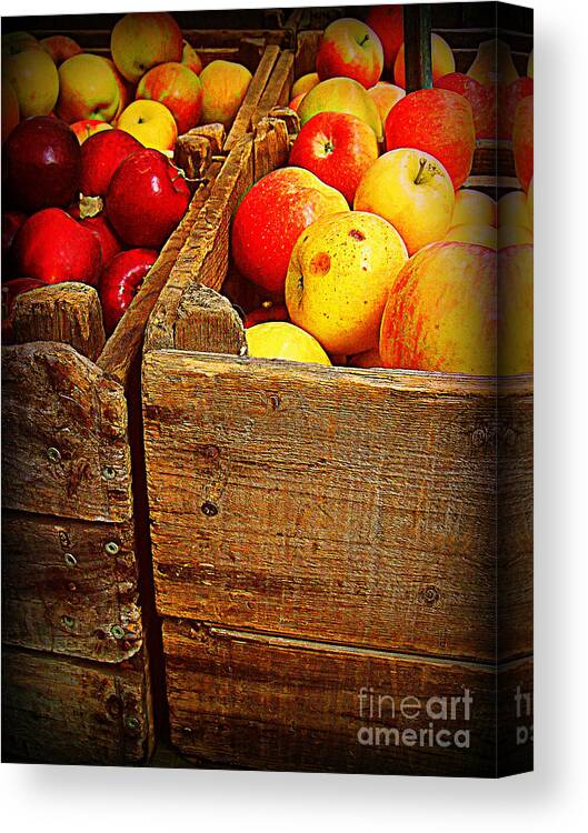 Fruitstand Canvas Print featuring the photograph Apples in Old Bin by Miriam Danar