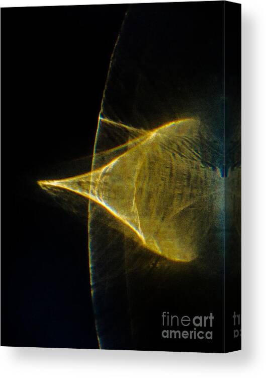 Writing With Light Canvas Print featuring the photograph Arching by Casper Cammeraat