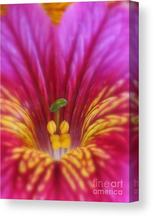 Flower Canvas Print featuring the photograph Astounded Photography by Holy Hands