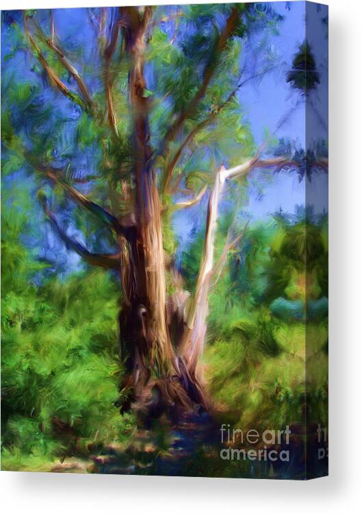 Australia Canvas Print featuring the digital art Australian Native Tree 7 by Russell Kightley