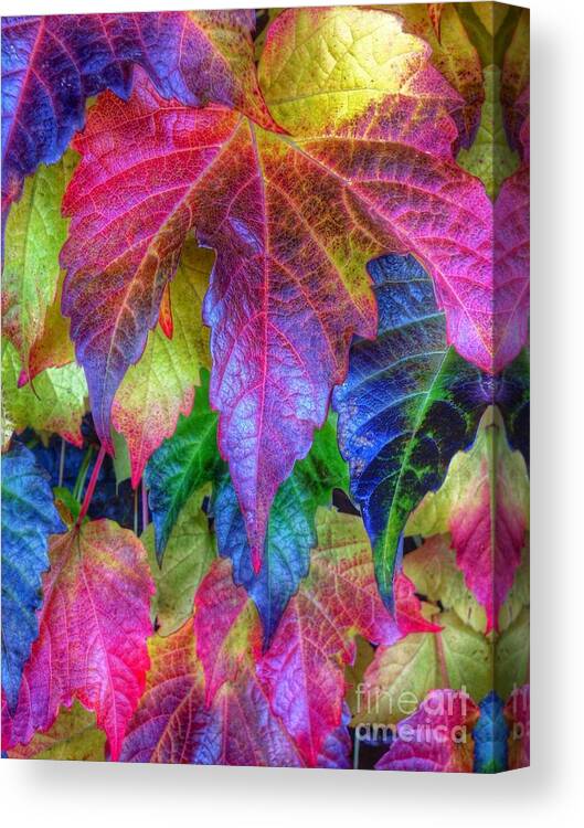 Autumn Bold Canvas Print featuring the photograph Autumn Bold by Susan Garren