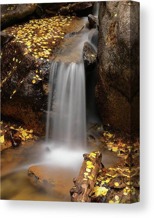 Idaho Scenics Canvas Print featuring the photograph Autumn Gold and Waterfall by Leland D Howard