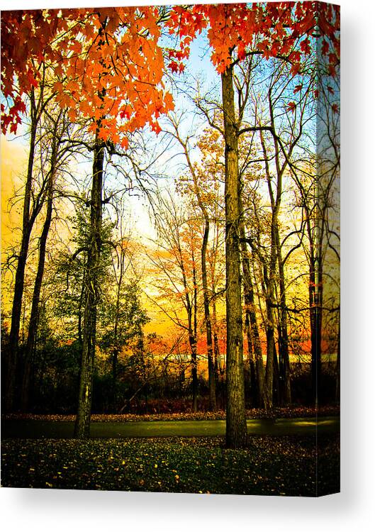 Fall Landscape Photo Canvas Print featuring the photograph Autumn Sunset by Sara Frank