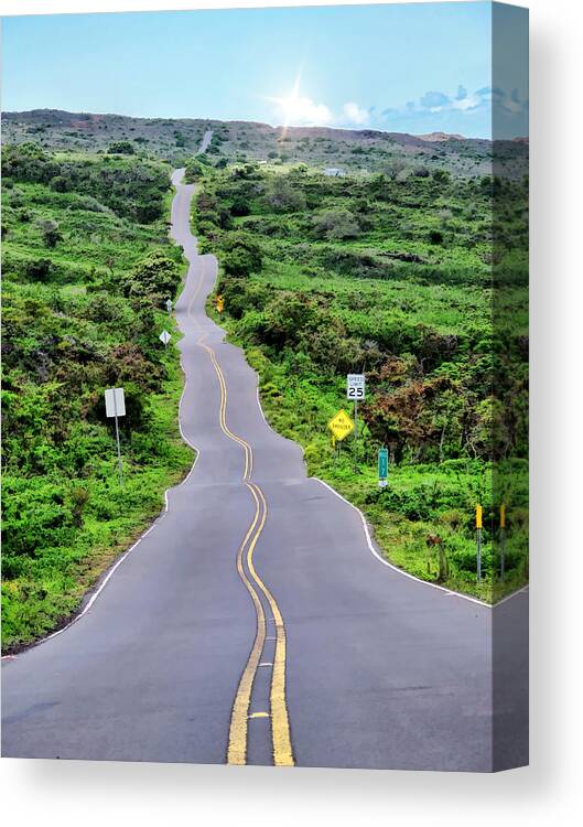 Road Canvas Print featuring the photograph Back Road to Hana 24 by Dawn Eshelman