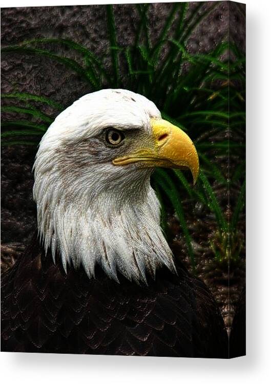 Bald Eagle Canvas Print featuring the digital art Bald Eagle by Jeff Iverson