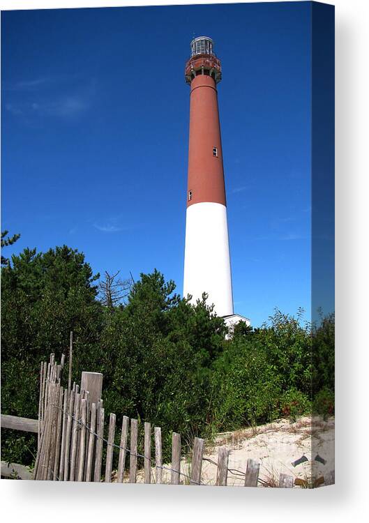 Lighthouse Canvas Print featuring the photograph Barnegat Lighthouse by Colleen Kammerer