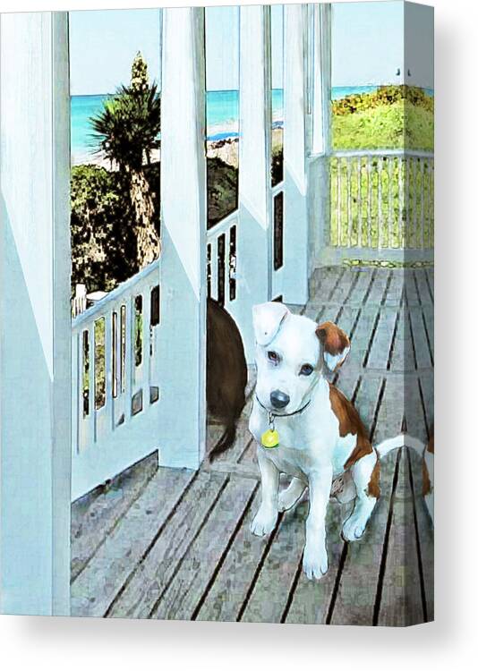 Jane Schnetlage Canvas Print featuring the digital art Beach Dog 1 by Jane Schnetlage