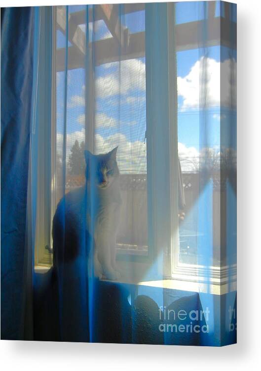 Cat Canvas Print featuring the photograph Bella Vista by KD Johnson