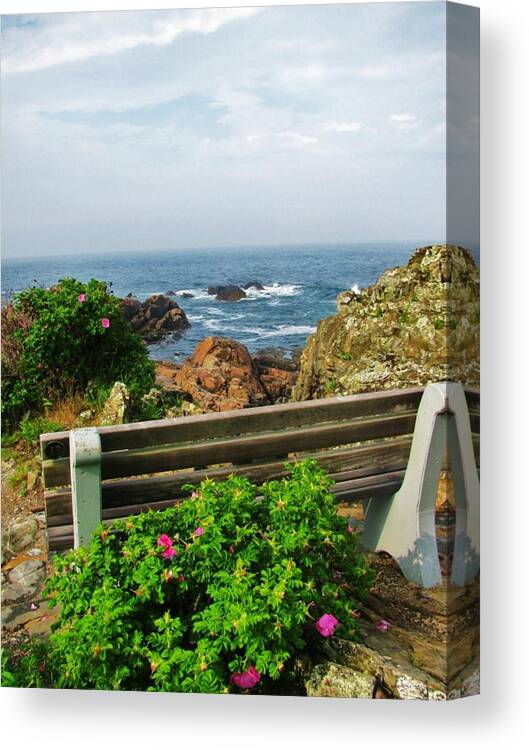 Ogunquit Canvas Print featuring the photograph Marginal Way by Diane Valliere